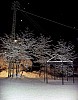 (c) c. tussing - bild 2.jpg